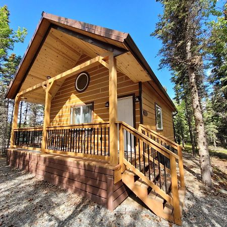 Denali Wild Stay - Redfox Cabin, Free Wifi Healy Eksteriør billede