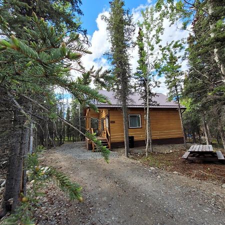Denali Wild Stay - Redfox Cabin, Free Wifi Healy Eksteriør billede