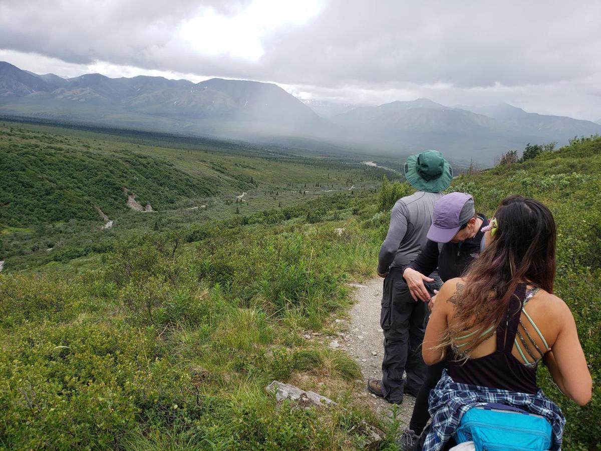 Denali Wild Stay - Redfox Cabin, Free Wifi Healy Eksteriør billede