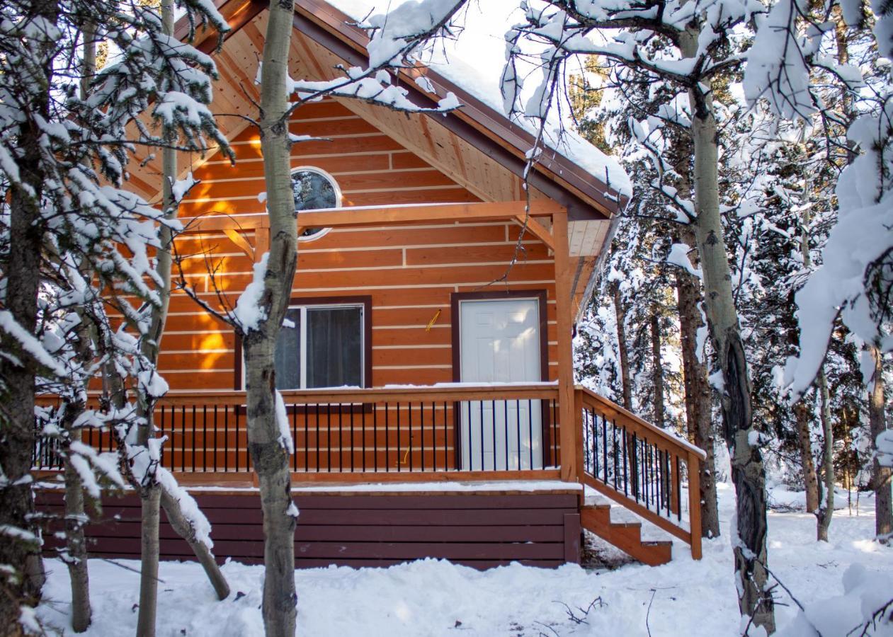 Denali Wild Stay - Redfox Cabin, Free Wifi Healy Eksteriør billede