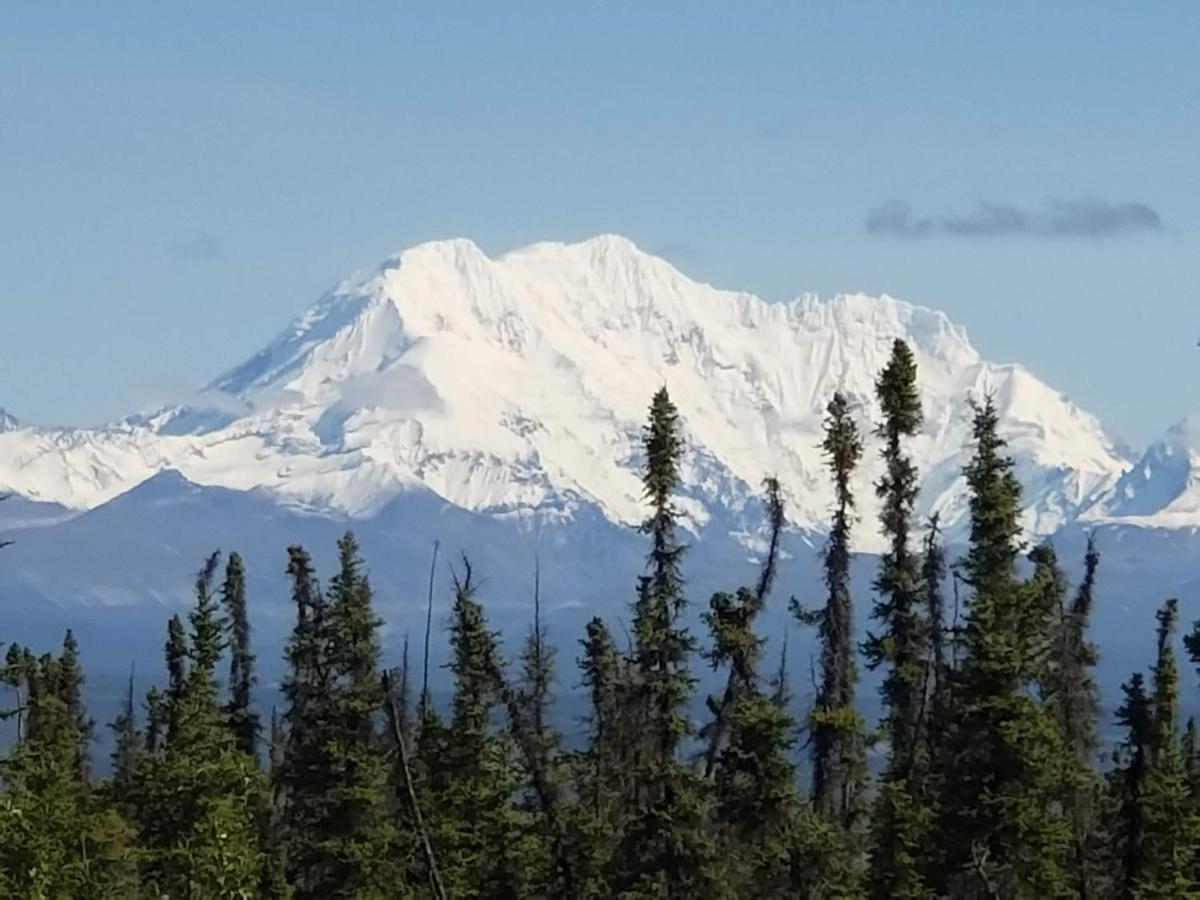 Denali Wild Stay - Redfox Cabin, Free Wifi Healy Eksteriør billede