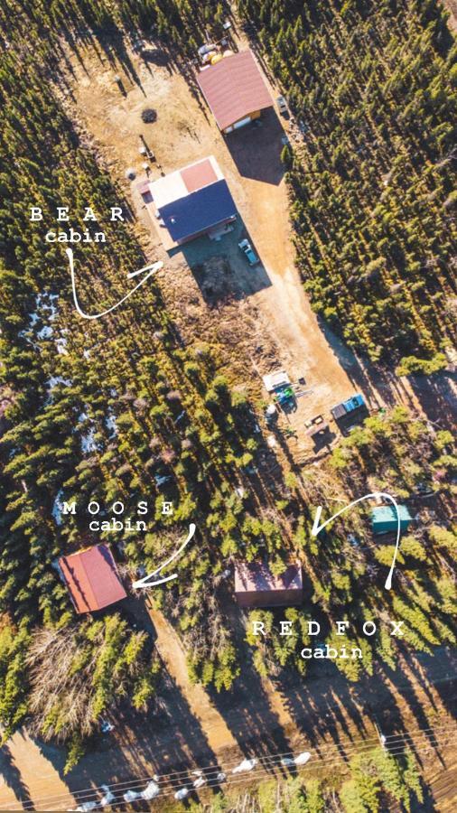Denali Wild Stay - Redfox Cabin, Free Wifi Healy Eksteriør billede