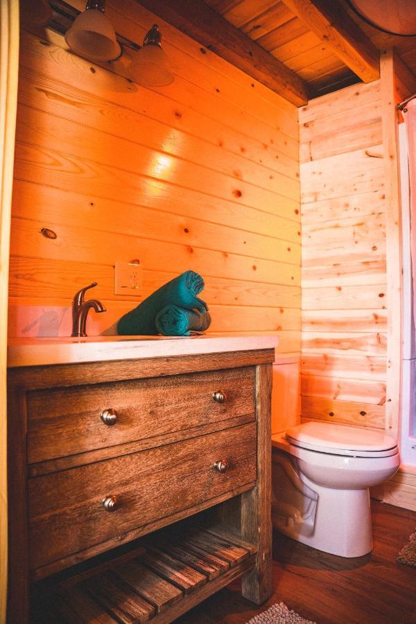 Denali Wild Stay - Redfox Cabin, Free Wifi Healy Eksteriør billede